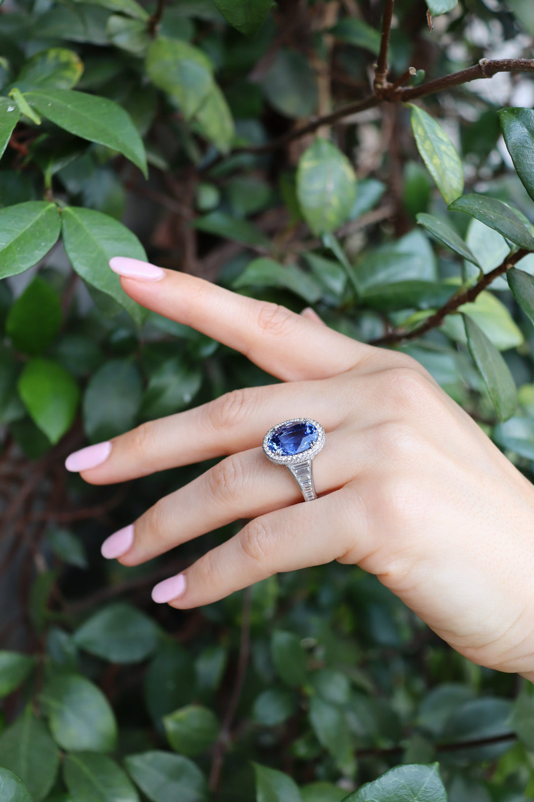 Exquisite 9.50ct Oval Brilliant Ceylon Sapphire & Diamond Ring